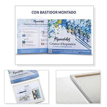 Kit Pintar por Números  "Acrílico 40x50" Con Bastidor.