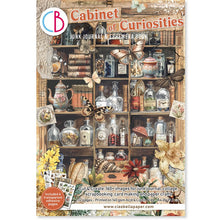 Cuaderno A4 Ephemera Book "Gabinet of Cuiosities"