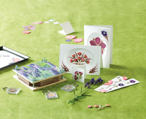 Ideas y Colores - Kit Prensar Flores