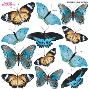 Ideas y Colores - Sospeso Predecorado Mariposa Azul